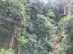 -清迈丛林飞跃 JungleFlight