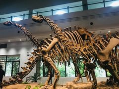 -自贡恐龙博物馆