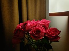 -正禾鲜·潮汕牛肉火锅(凯德天府店)