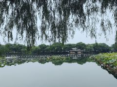 -湖畔居茶楼(湖滨店)