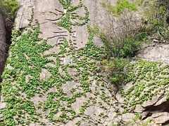 -崂山九水游览区