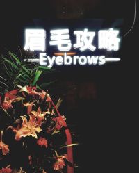 -眉毛攻略·专业修眉染眉野生眉