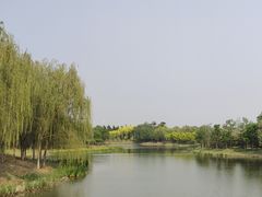 -东郊湿地公园