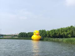 -呼兰河口湿地公园
