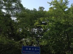 -八大关景区