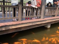 -枫香湖儿童公园