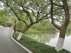 -西溪国家湿地公园