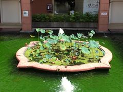 -珍宝海鲜坊(樟宜NSRCC店)