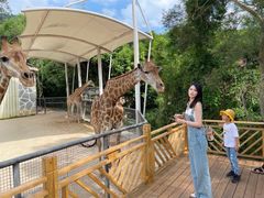 -泉州海丝野生动物世界