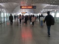 -合肥火车站(地铁站)