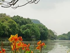 -星湖旅游景区七星岩