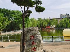 -莲湖公园