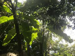 -海口观澜湖火山温泉谷
