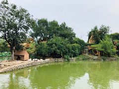 -静之湖湖畔餐厅