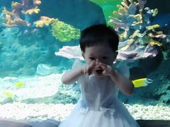 -华夏文旅海洋公园