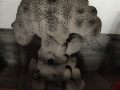 -莲池书院博物馆