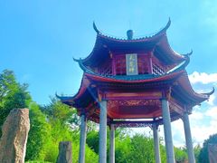 -江南天池