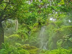 爱丽丝梦游仙境-Chom Cafe and Restaurant