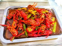 -四川农业大学(雅安校区)