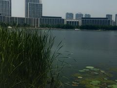 -尚贤河湿地