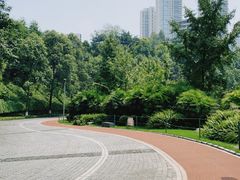 -龙头寺公园
