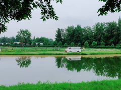 -金谷域澳洲庄园