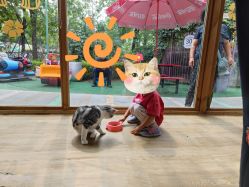 -萌宠亲子动物乐园(槐房万达店)