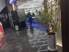 -大连湾旭日·家宴·海肠捞饭(马栏广场店)