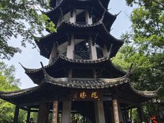 -中国湿地博物馆