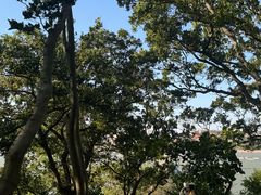 -青岛海滨风景区小青岛