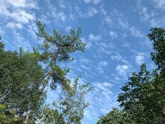 -南京市无想山景区