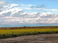 -青海湖国家重点风景名胜区