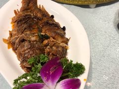 -碧丽宫大酒店(召稼楼店)