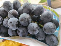 -马陆小张葡萄园农家乐