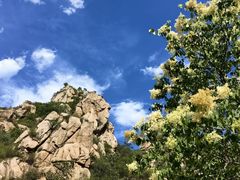 -大岭沟猕猴桃谷风景区