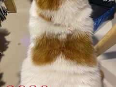 -平行世界·猫咖(首经贸店)