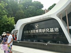 景点-成都大熊猫繁育研究基地
