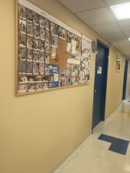 -杭州贝瑞斯美华妇儿医院·早孕·产检·儿科