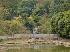 -广州市帽峰山景区