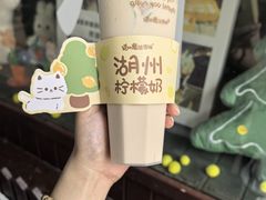 -猫的魔法密林(衣裳街店)