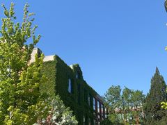 -蒙楼咖啡(清华大学蒙民伟楼店)