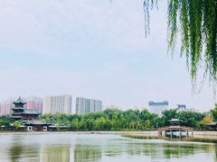 -迎泽公园