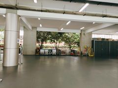 -上海市黄浦区卢湾第一中心小学