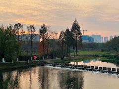 -洋湖国家湿地公园