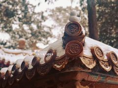 -故宫博物院(故宫)