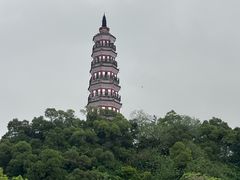-顺峰山公园