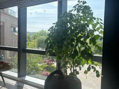 -杭州君尚云郦酒店