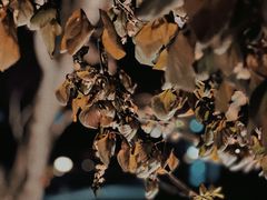 -河南省黄河迎宾馆