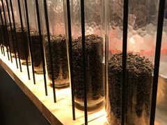 -喜茶(上海打浦桥日月光gelato lab+店)