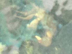 -阳澄湖半岛旅游度假区